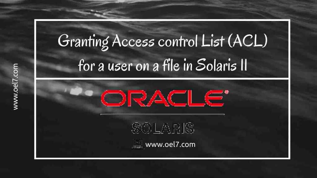 Granting Access control List (ACL) for a user on a file in Solaris 11 1