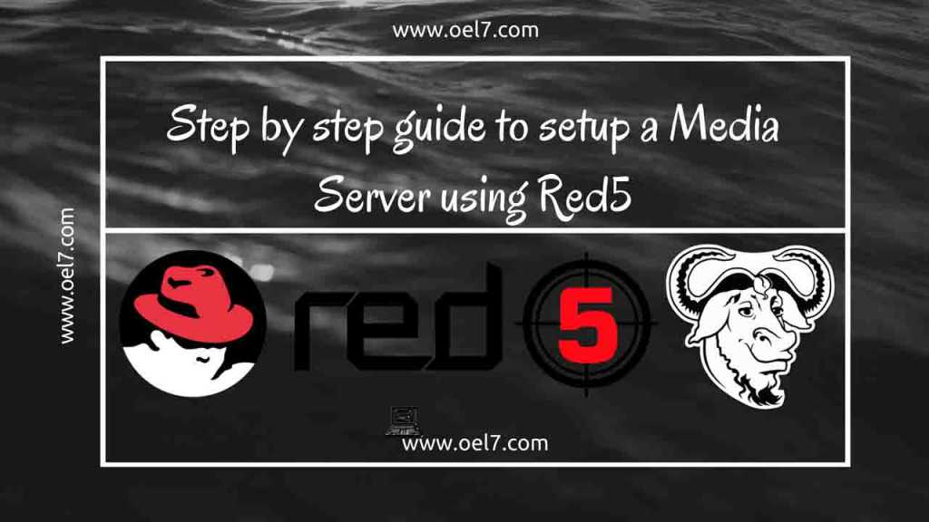 Step by step guide to setup a Media Server using Red5