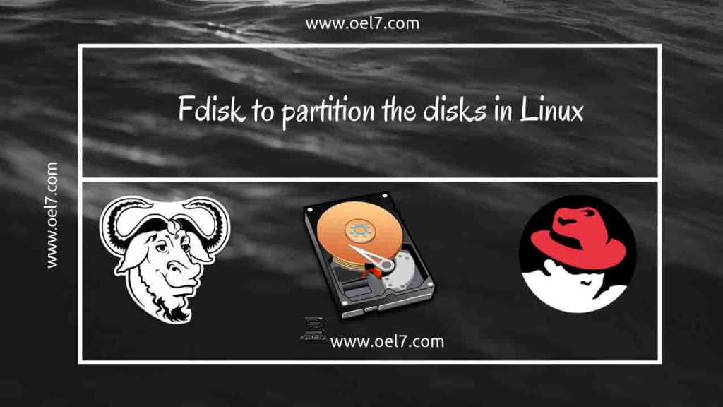 FDISK to partition the disks in Linux