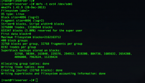 Create a filesystem in Linux using mkfs command with option -t www.linuxsysadmins.com