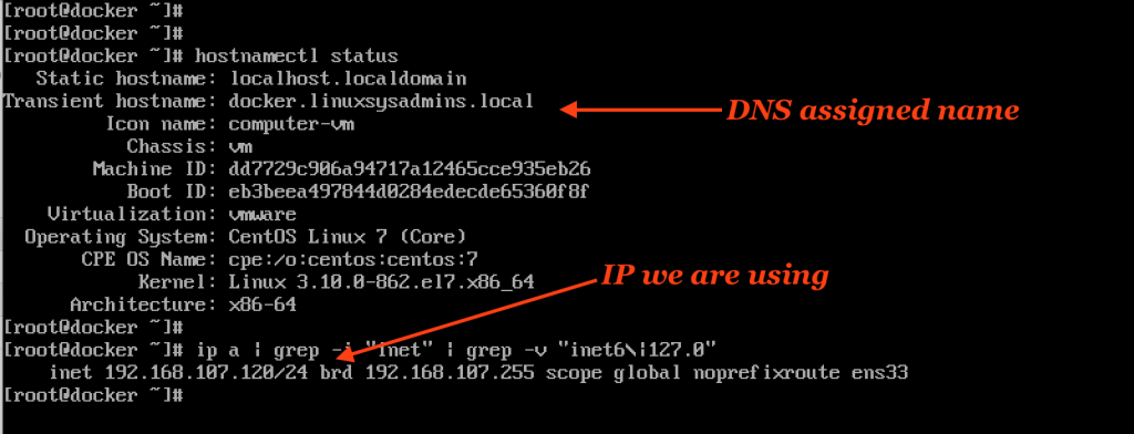 Created DNS record resolves and IP address
