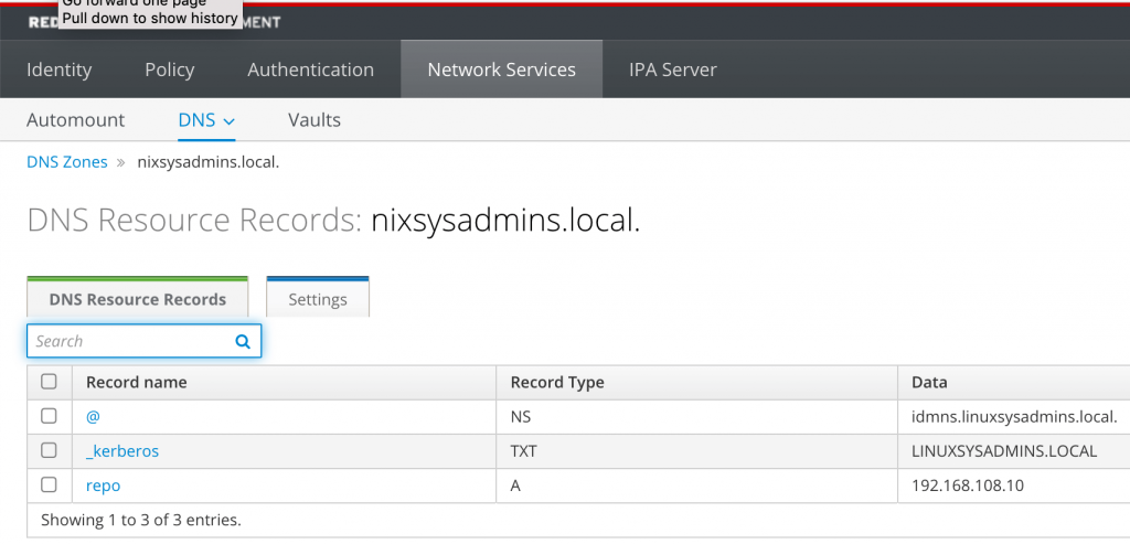 Created forward lookup DNS record 