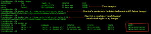 Docker run nginx with different image