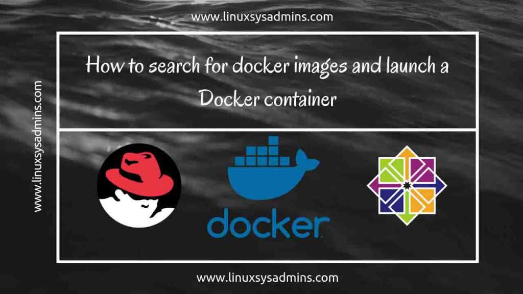 How to search for docker images and launch a container