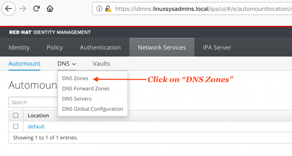 IPA DNS server zone creation
