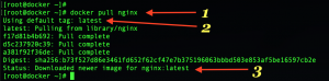 Pulling docker images from docker registry