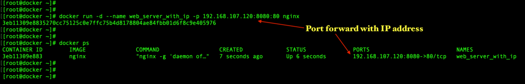 Starting a docker container with specific IP forwarding