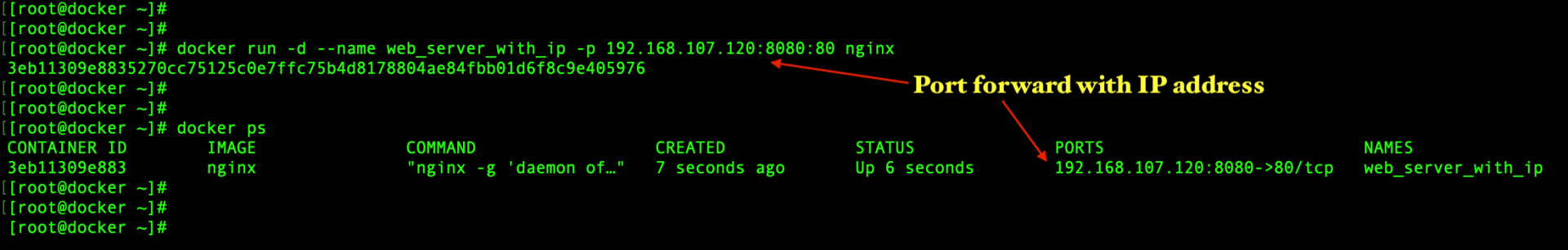 docker ip multicast