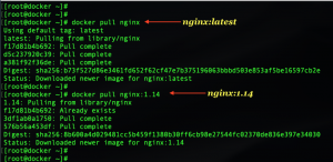 docker pull nginx to download the latest image