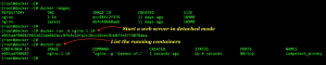 docker run nginx to launch a container from image