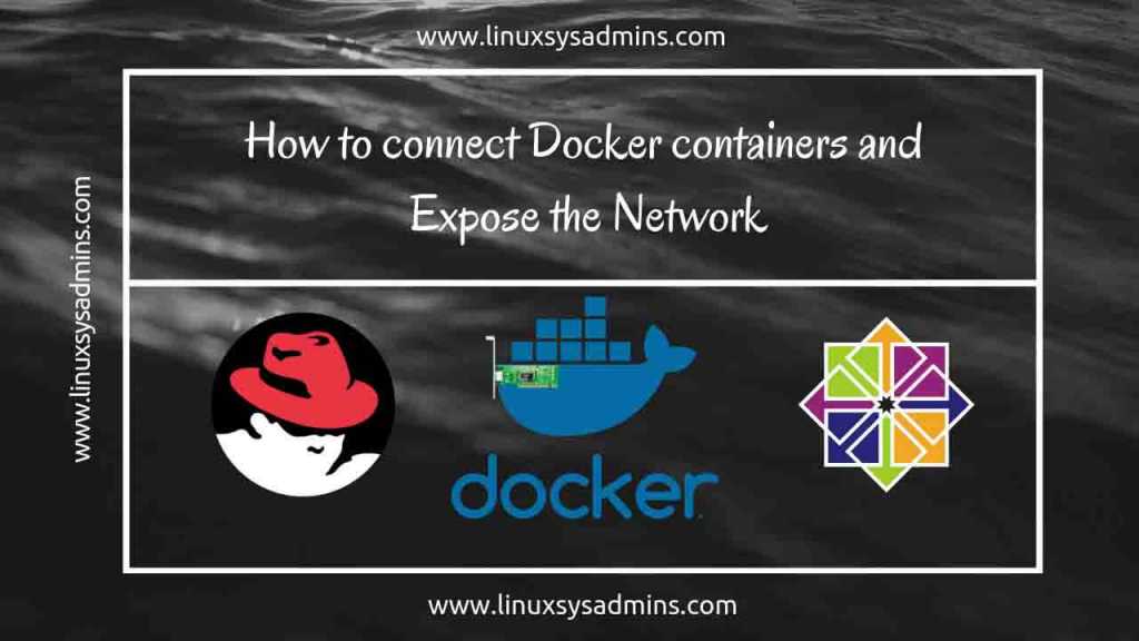 how to connect docker containers and expose the network