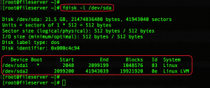 listing the disks using fdisk