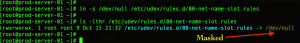 mask udev for random named interface