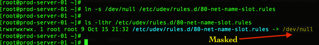 Change systemd network interface name ensxx to eth0 – Linux sysadmins