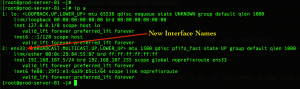 rhel 7 interface name before changed