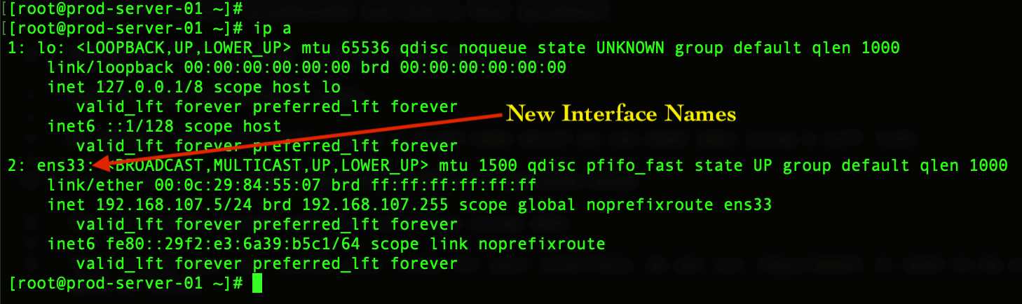 Change systemd network interface name ensxx to eth0 – Linux sysadmins
