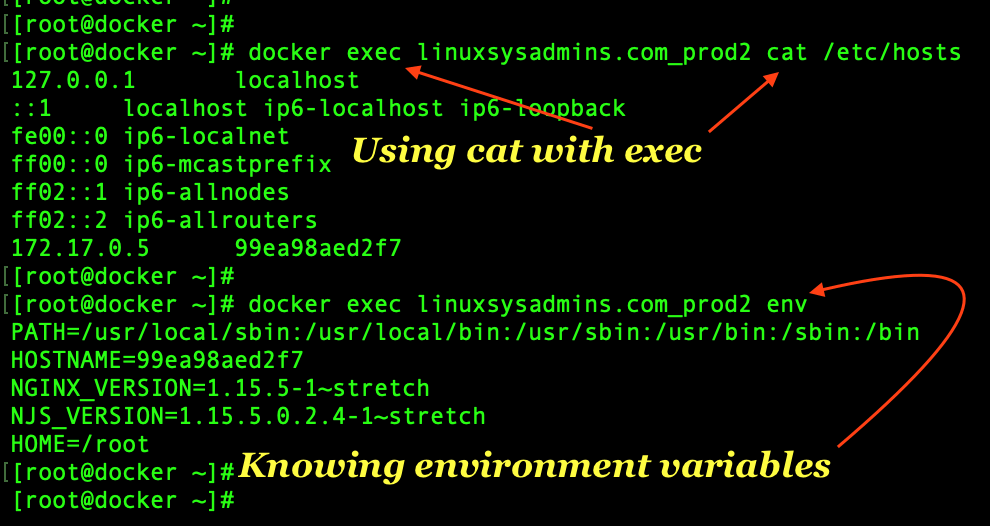 Executing command in docker containers