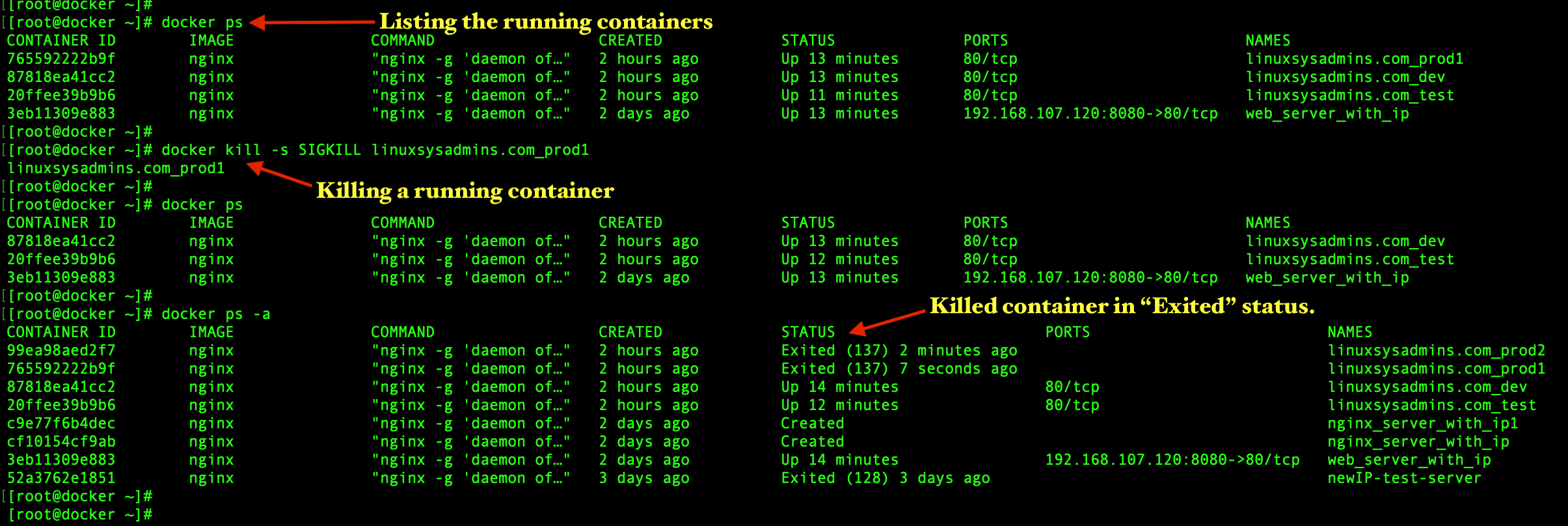 Killing Docker container