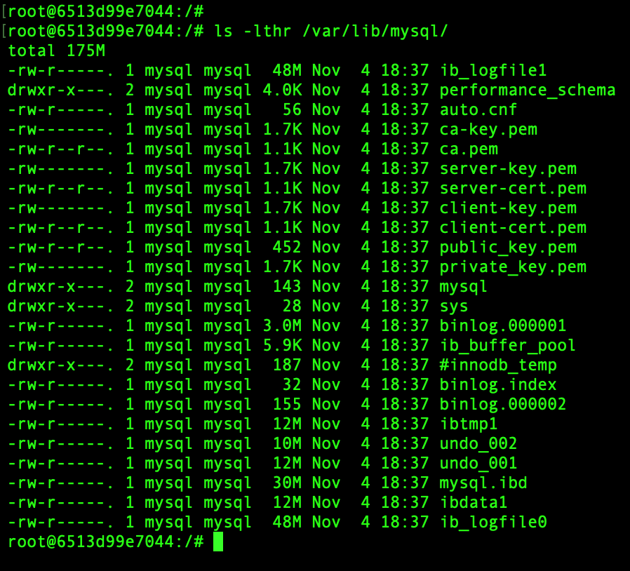 List the MySQL file inside the container