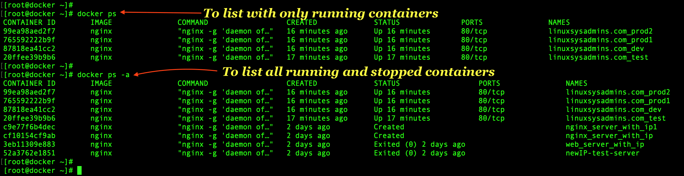 Listing running and stopped docker containers