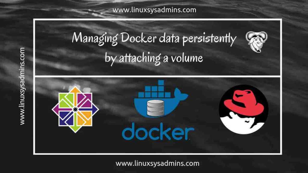 Managing Docker data persistently by attaching a volume
