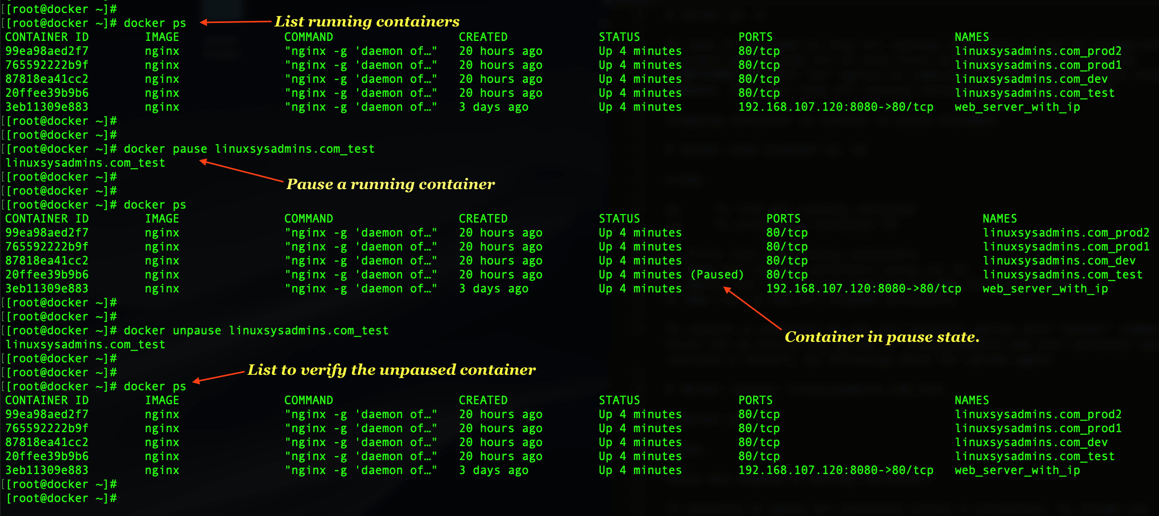 Pausing and resuming docker containers