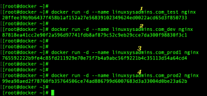 Starting docker containers