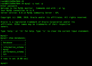 Verify MySQL login in Container