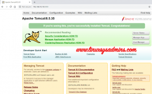 Access the tomcat UI