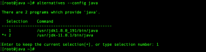 Alternative set Java
