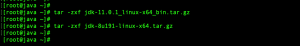 extract the downloaded java tar files