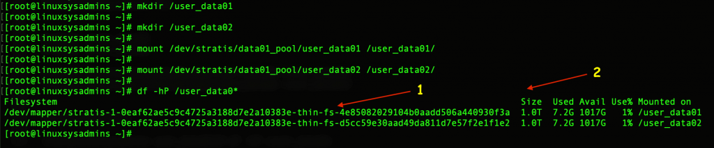 Create mount point and mount the FS