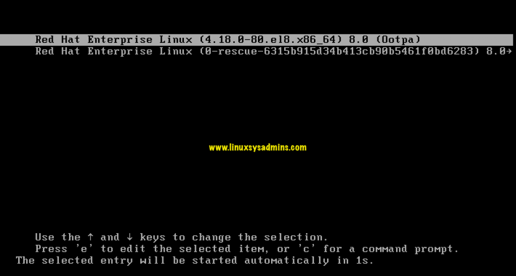 Installing RedHat Enterprise Linux 8.0 with screenshots 1