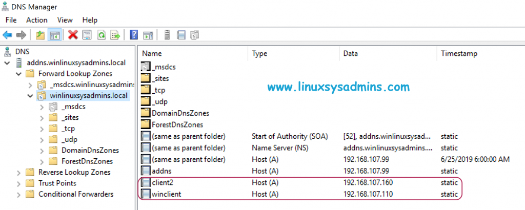 Test DNS entry for conditional forward