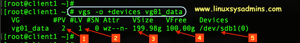 Volume group with devices