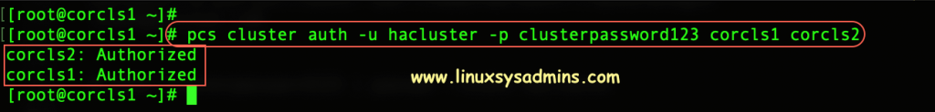 Cluster Authorization