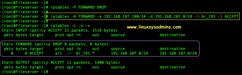 Linux Network bridge filtering Traffics