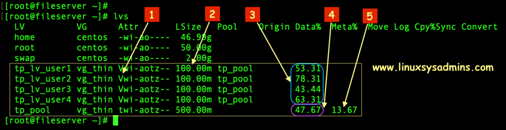 Listing with files in Thinly Provisioned Logical volume