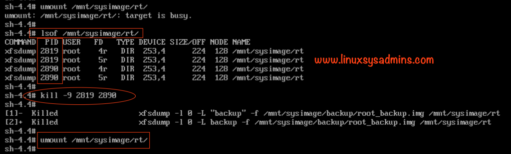 How to Shrink XFS Partition for the root filesystem | 1 Easy guide 5